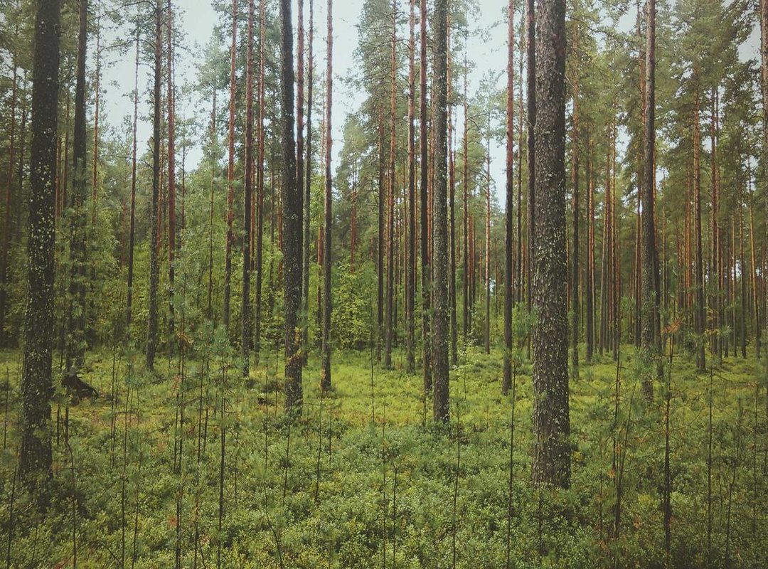 Finding Your Meaning: Powerful Design Concepts and Ideas