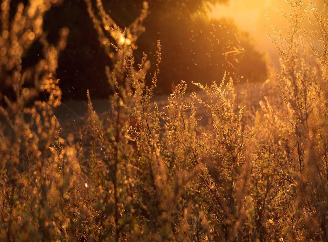 The High-Performance Toolkit: Gear and Tech Breakdown