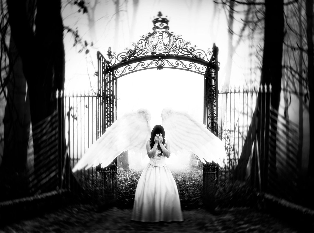 The Broader Implications of a High-Profile Leak