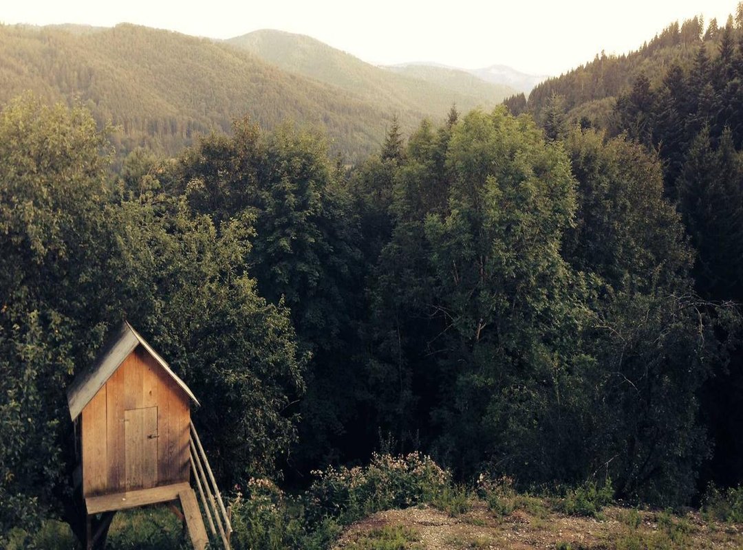 The Ethical Impact: Why Supporting Creators Matters