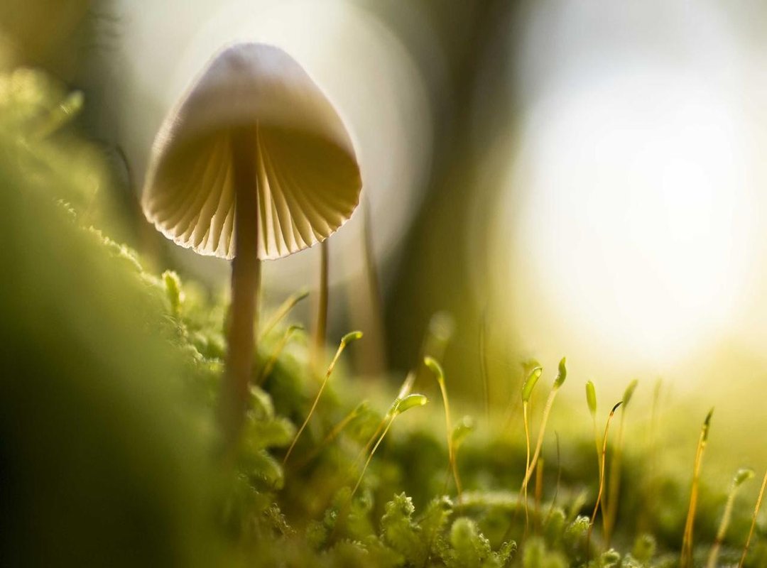 Before You Press Play: Understanding the Risks and Downsides