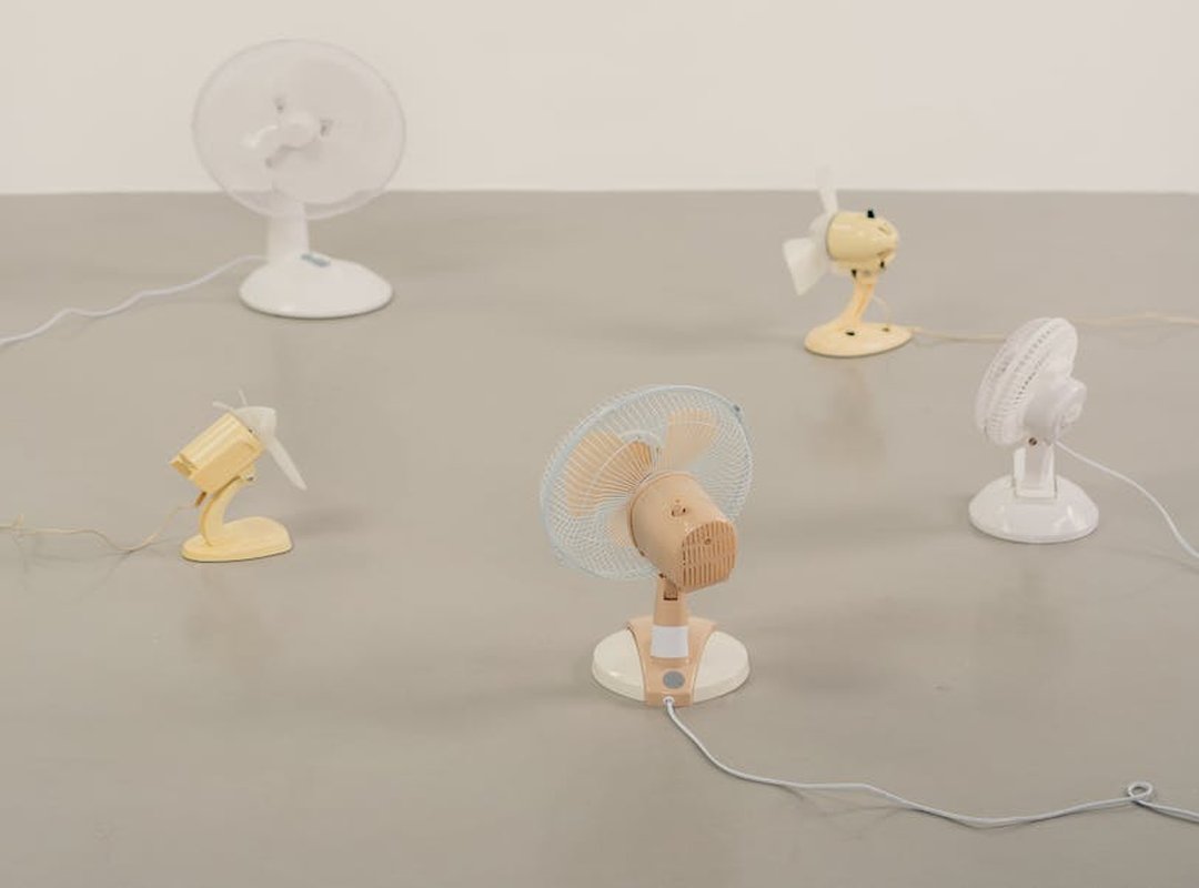 Tobeca Eavazlti Fans