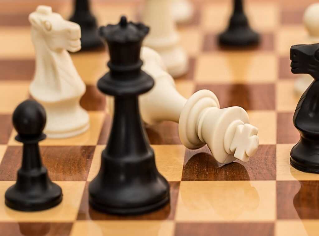 winning tactics insights