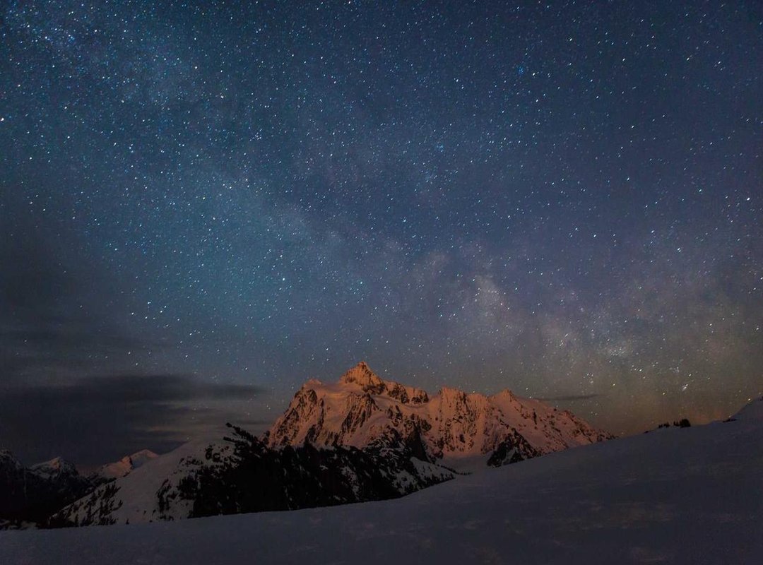 Comparisons: How to Choose the Right Woll Wallpaper