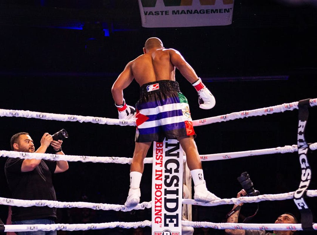 Zumoto Chieloka Boxer